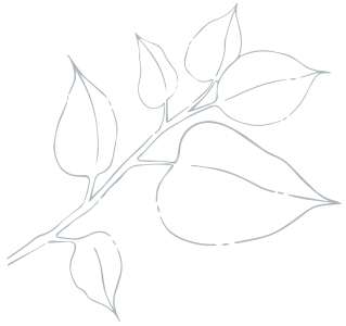 Black_Leaf Holistic_black_leaf
